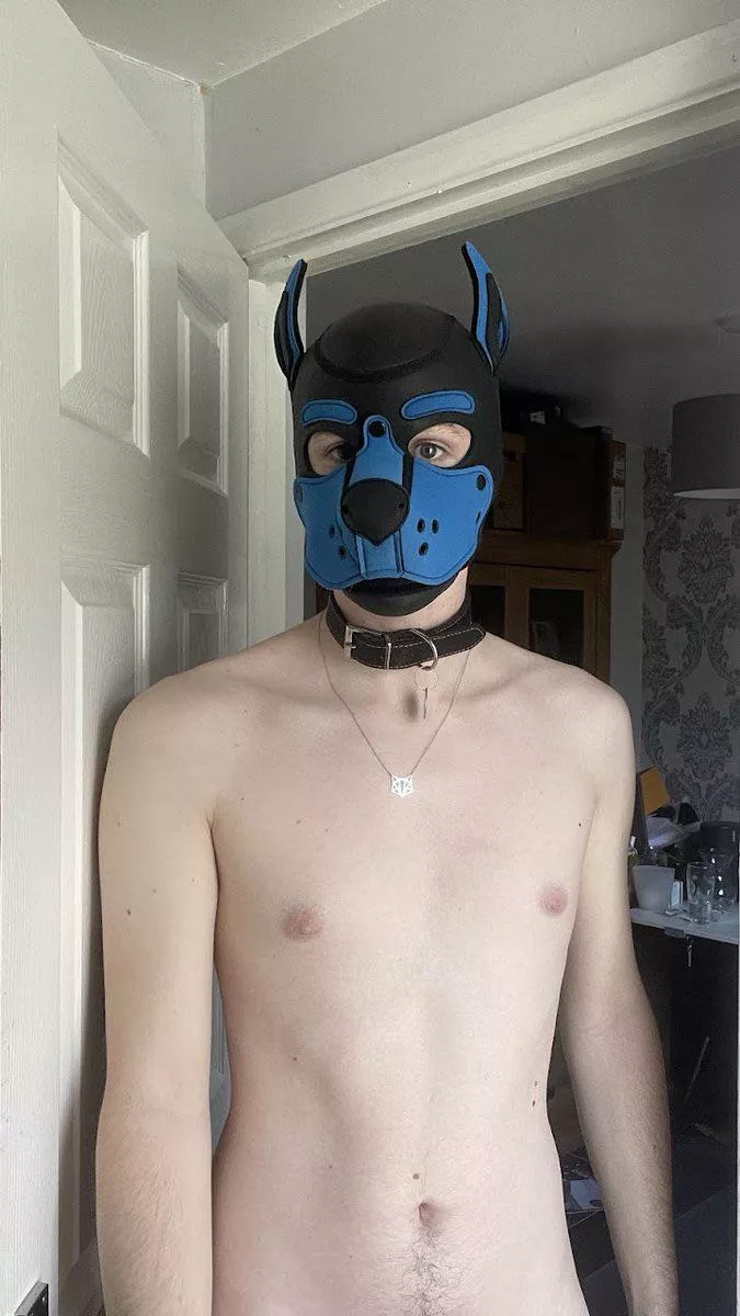 Did someone say “Treat”?