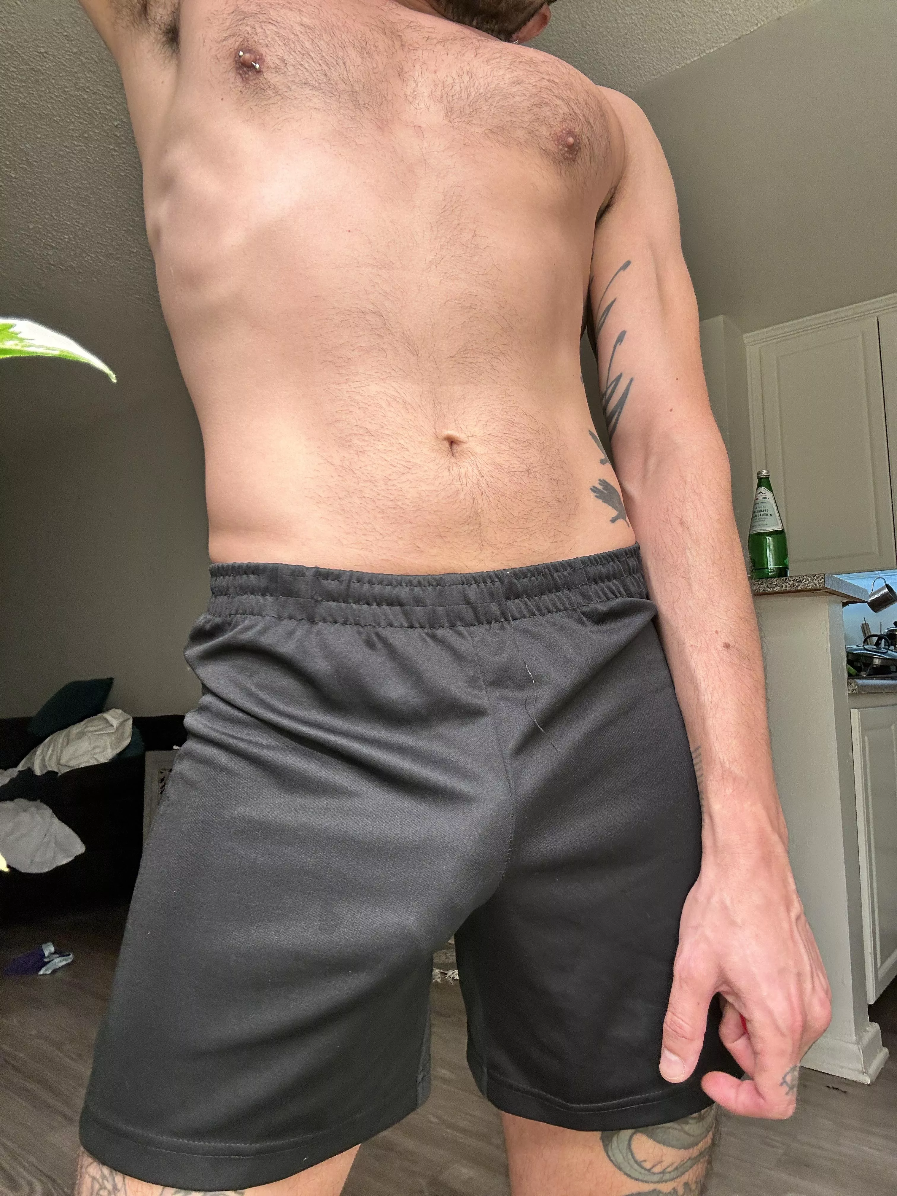 Free as a bird 🐦‍⬛