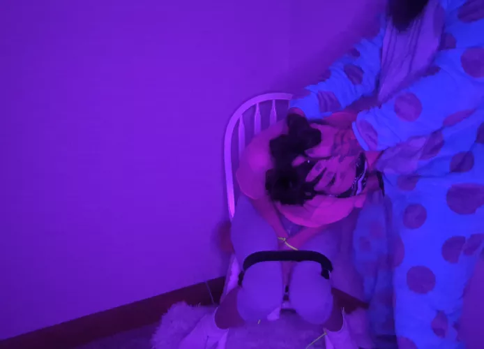 Happy Halloween from Boo and Sully