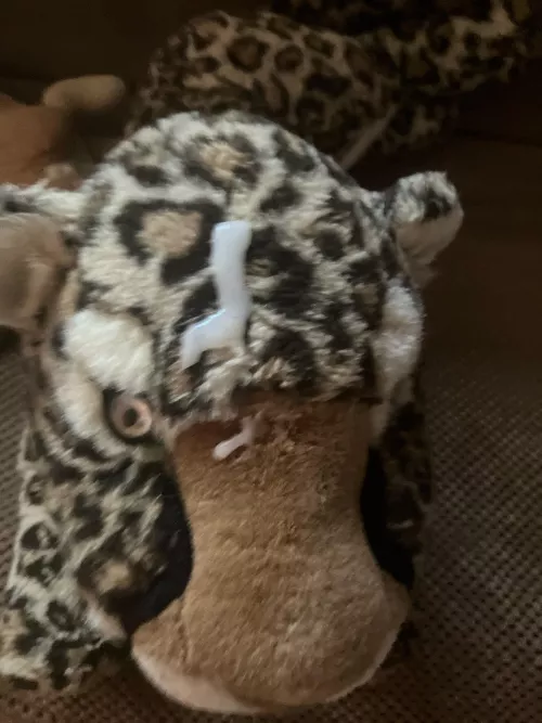 I had fun with my cat plush