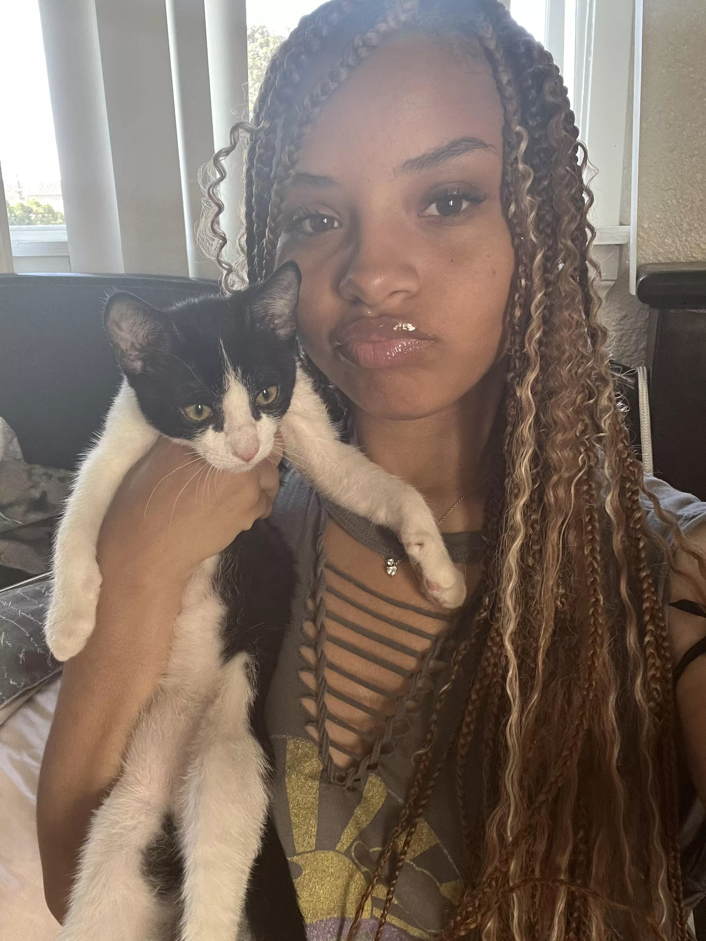 I love cats and draining your wallet 