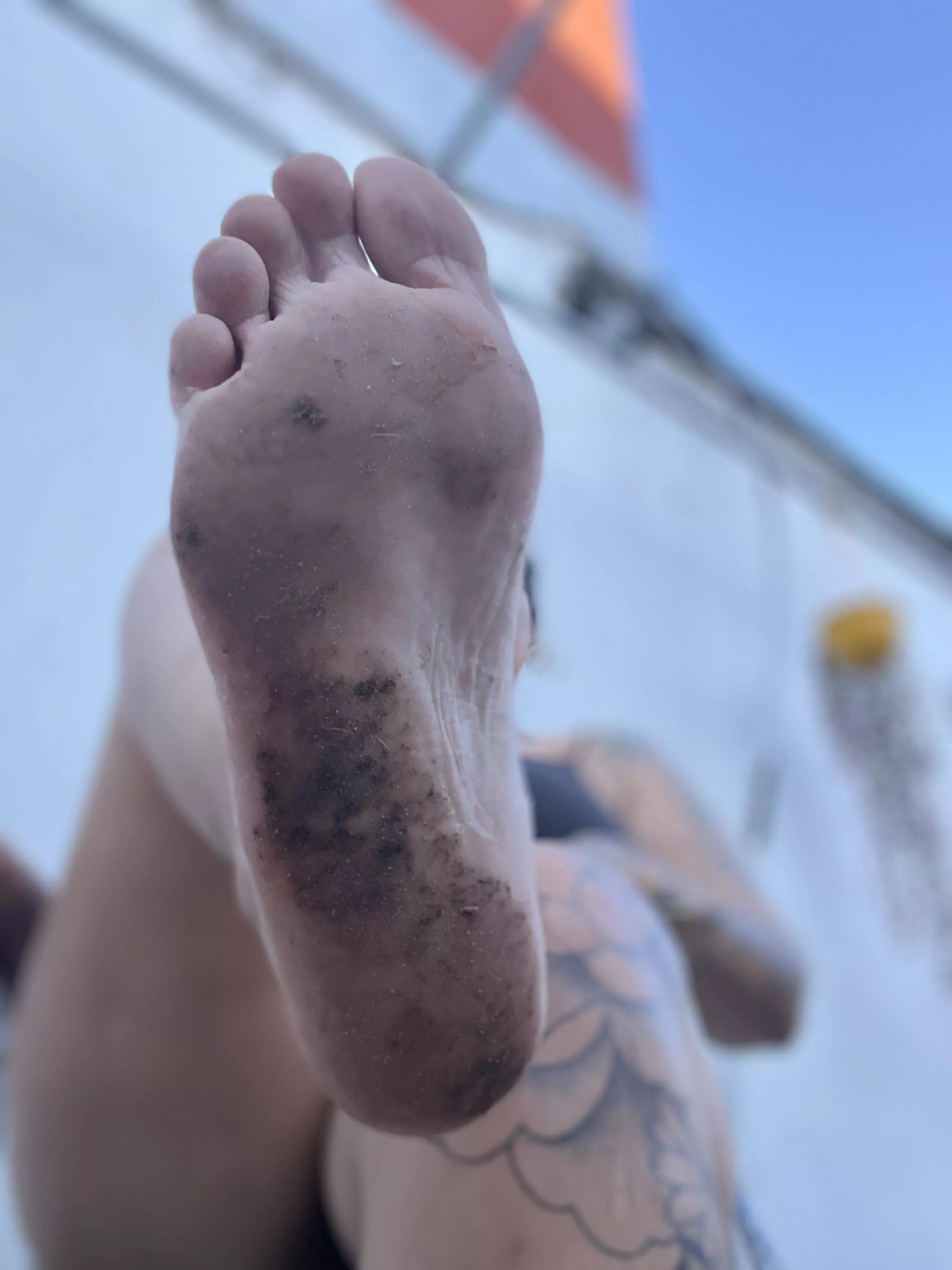 It's time for you to clean my plants.ok? Oc