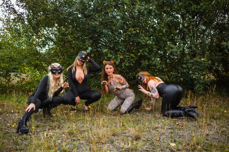 Just when you thought you could handle one Kitty , there’s now 4 ! 😻