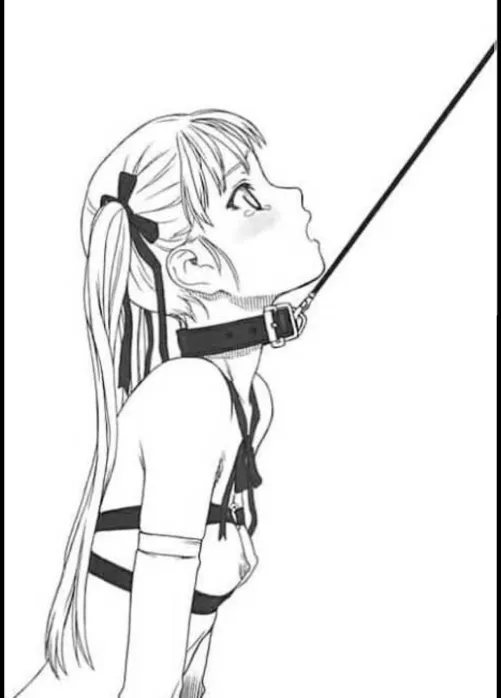 Looking for male dom no