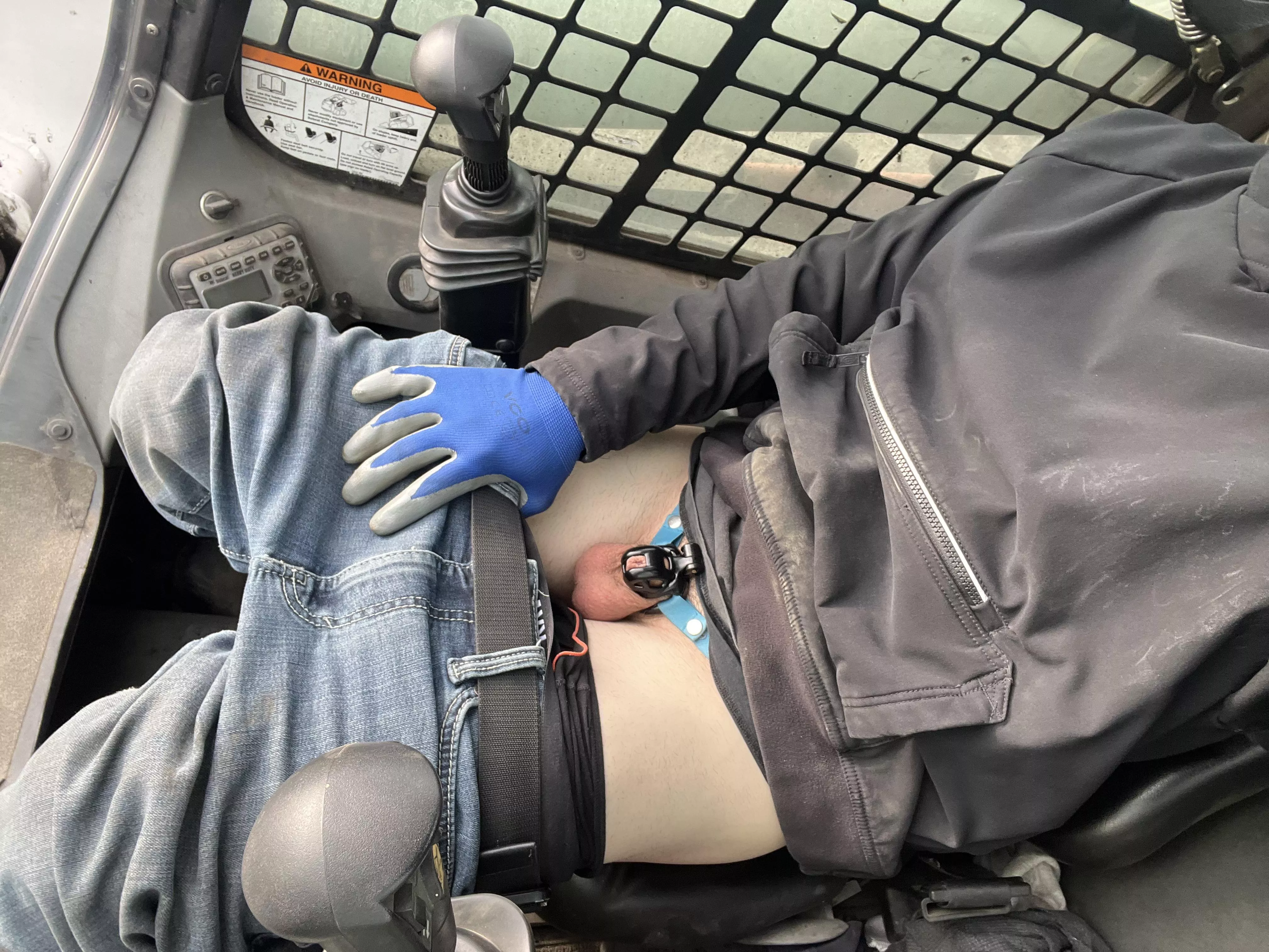 My baby cobra went on an adventure in a bobcat today!