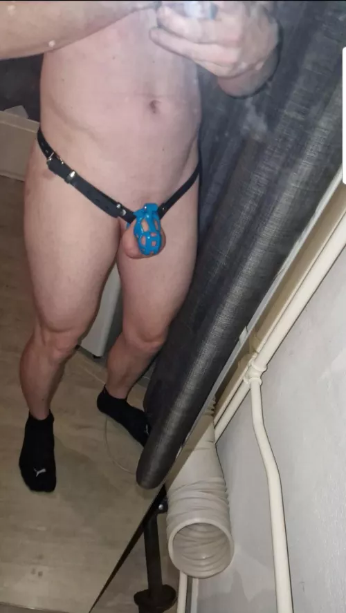 My kink3D cage just came in and i couldnt be happier!😇