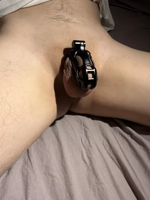 Natural extension of the human form ☺️