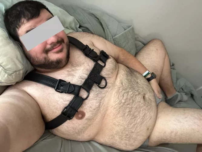 Need to get ready for work. Would rather play hooky with a bear. 