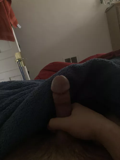 No nut November