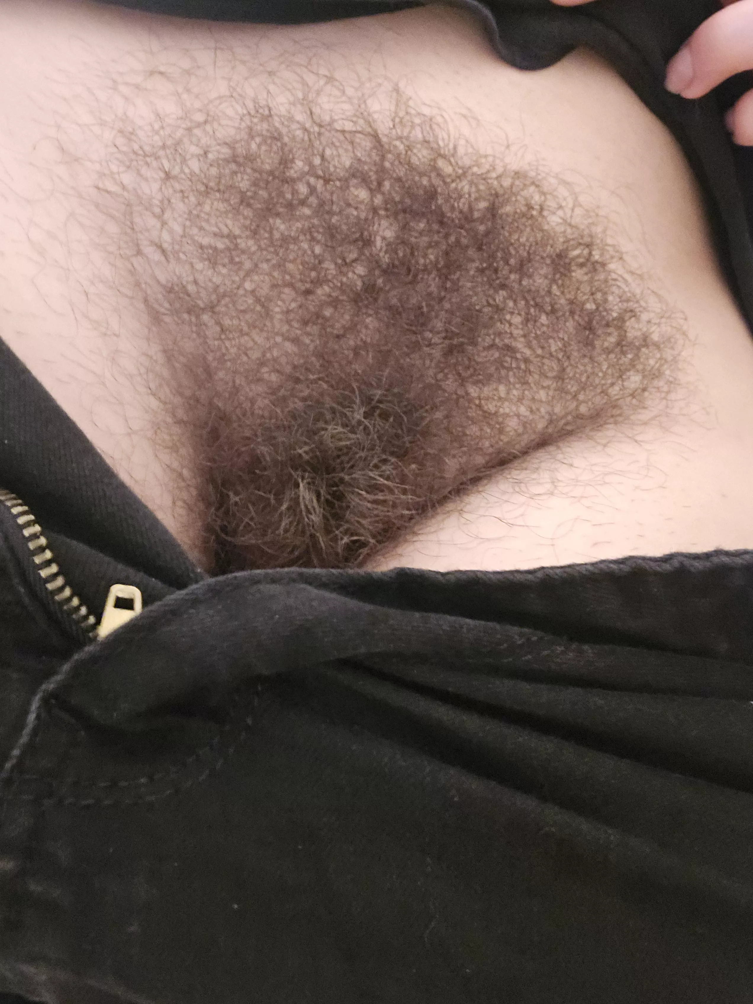 No shave November... or all year