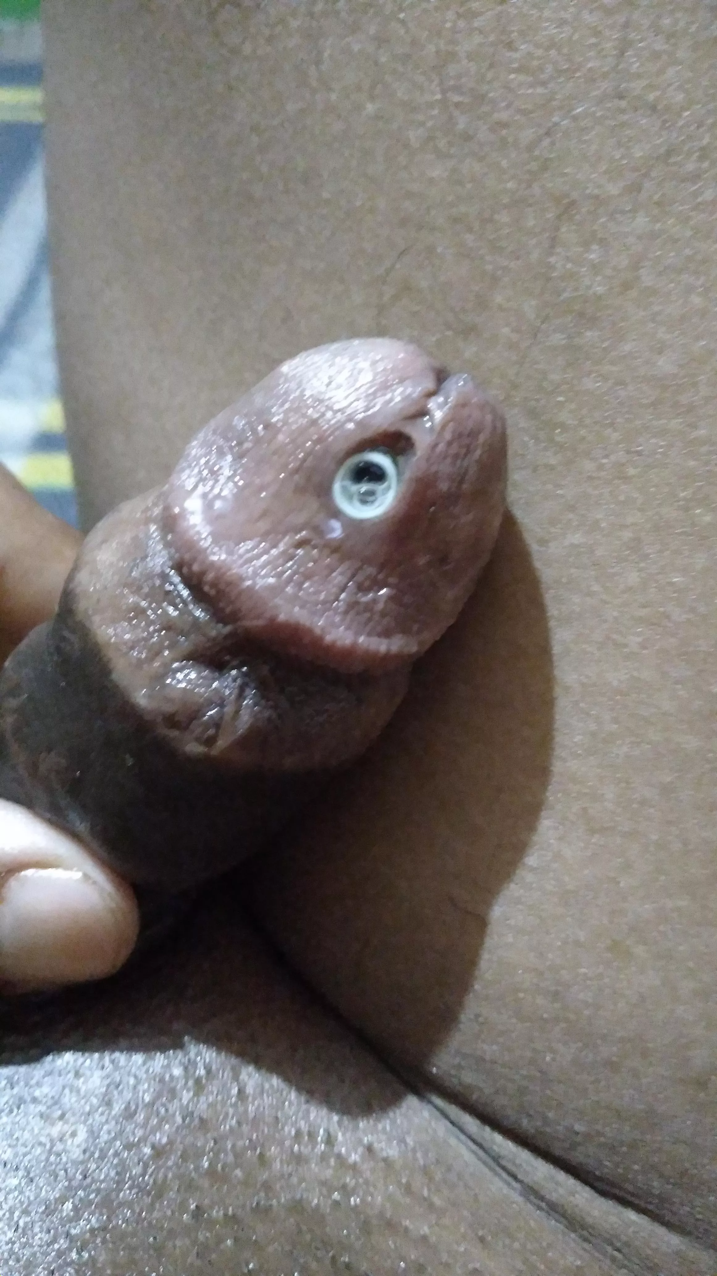 Pree cum filled with tunnel 