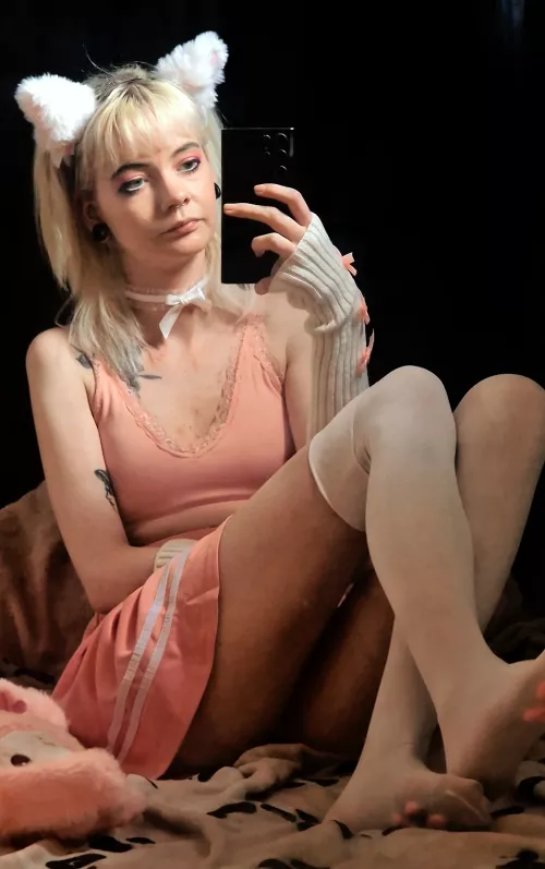 Purr-haps you'd like to pet this kitty 😺