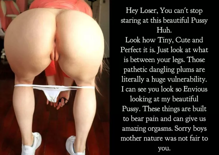 Pussies are Perfect.