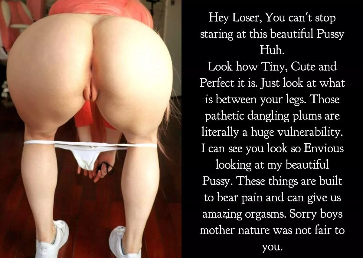 Pussies are Perfect.