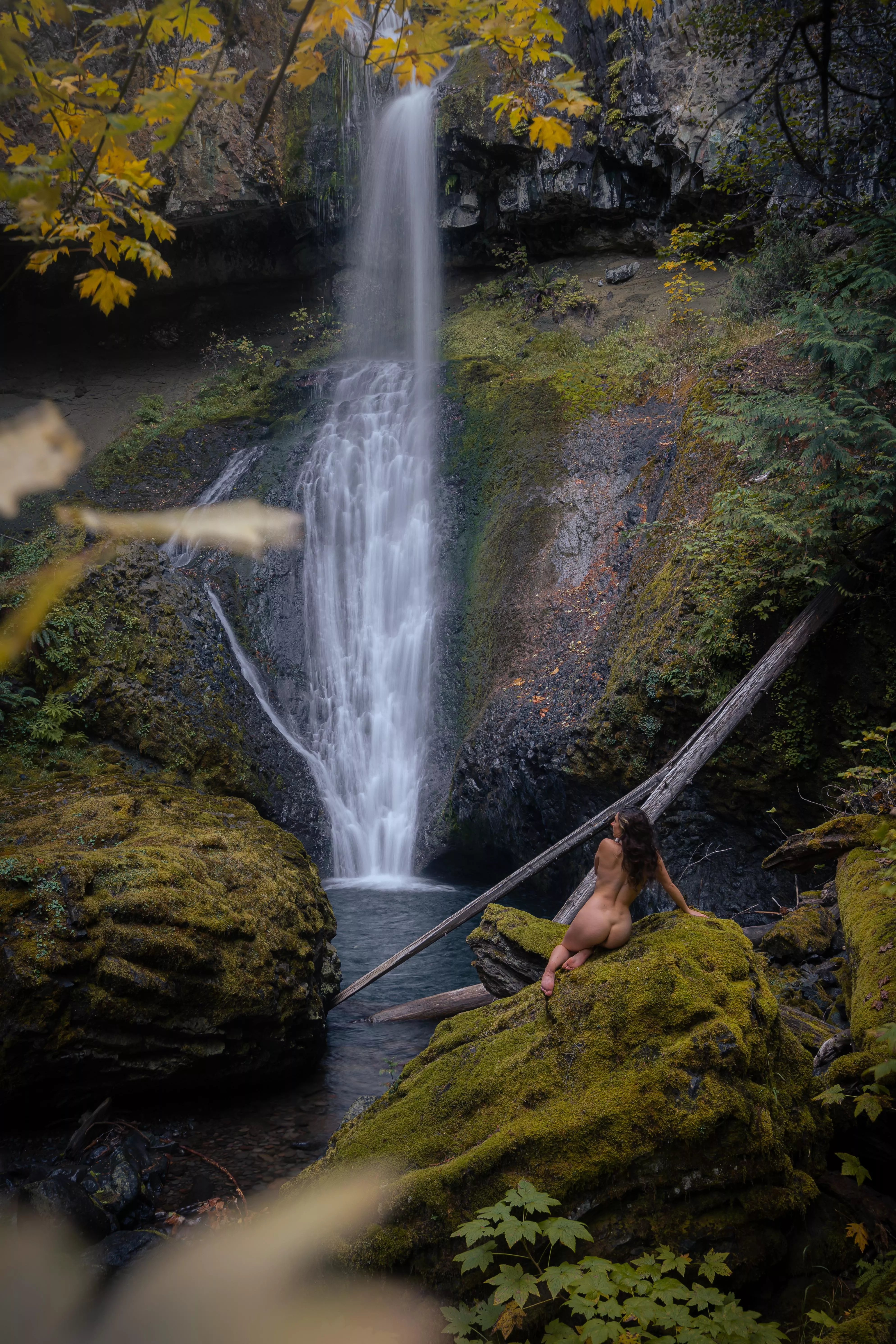 remember crysta from ferngully? This is her now