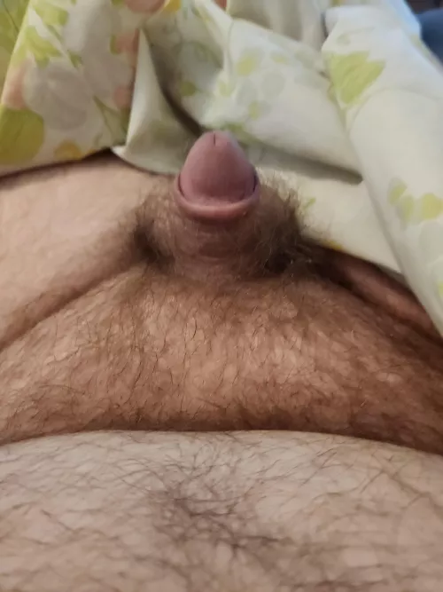 Showing my tiny dick