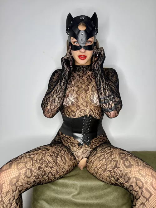 So naughty and sexy cat u dream about...