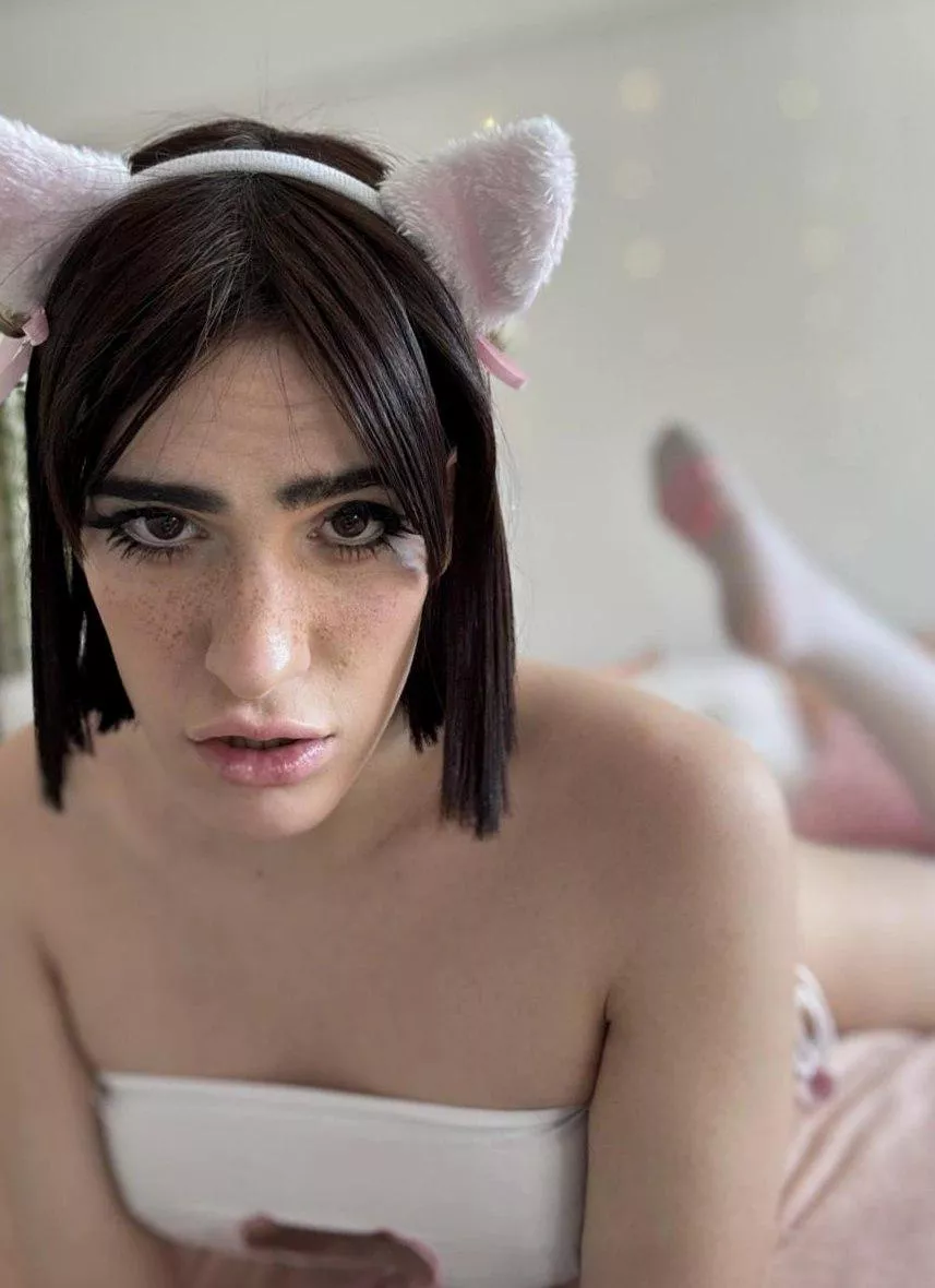 there you are... i was looking for you 🤭 [Return Our 3P Tools/Apps]