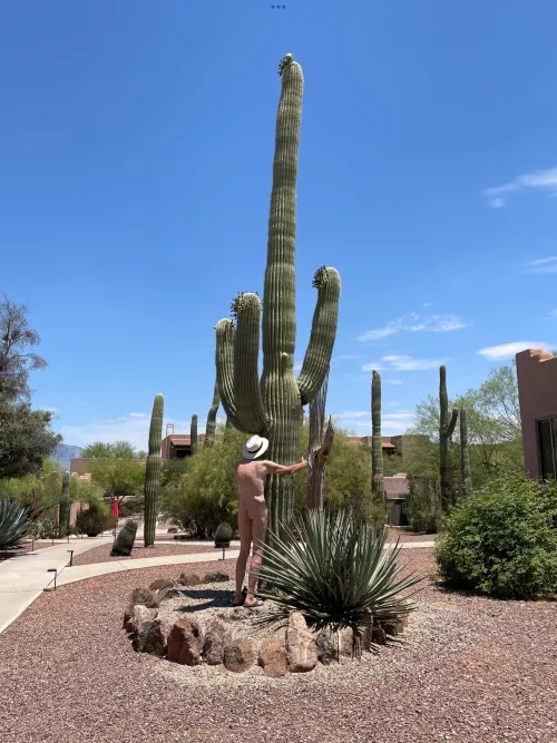 🌵Tree pose Tuesday🌵