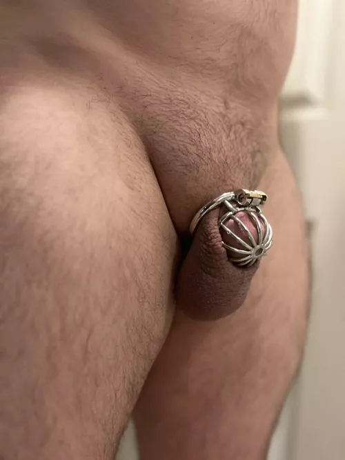 Trying out something smaller. Balls are so sore, definitely not a daily cage. 