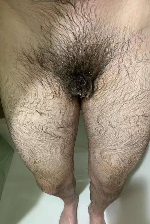 Wet, wild and [H]airy with so much potential for more 