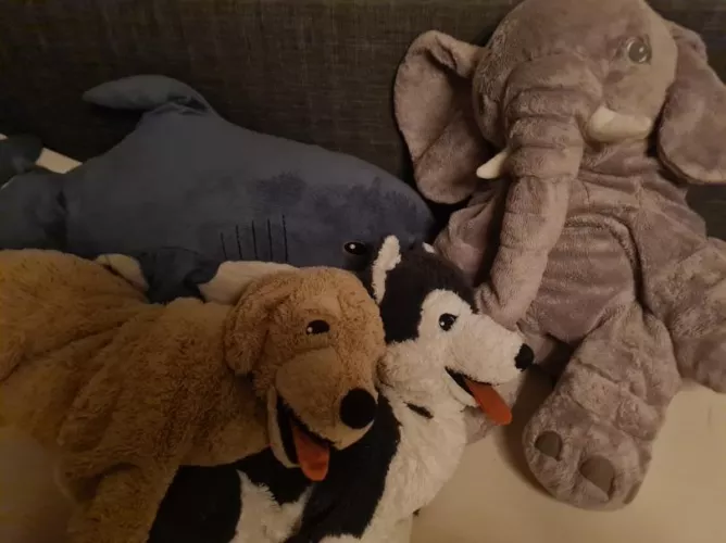 Which one deserves a treat?