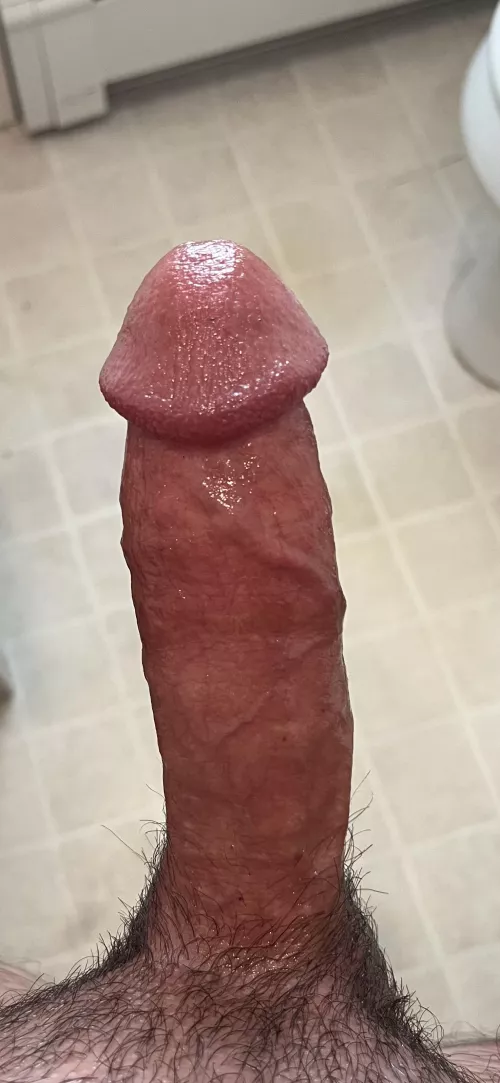 43 [M4F] Brattleboro 11/9:  7