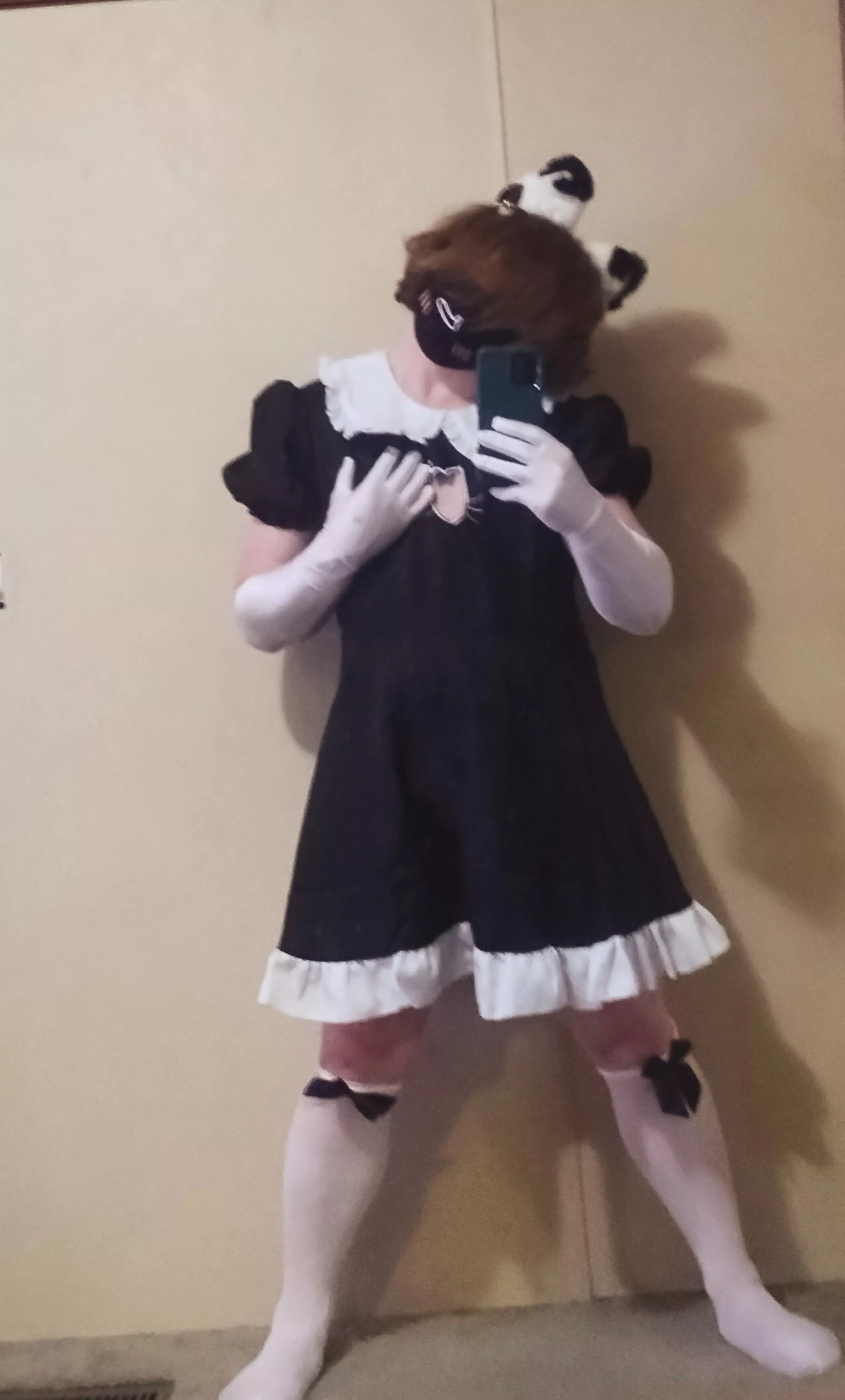 Are you a cat person?