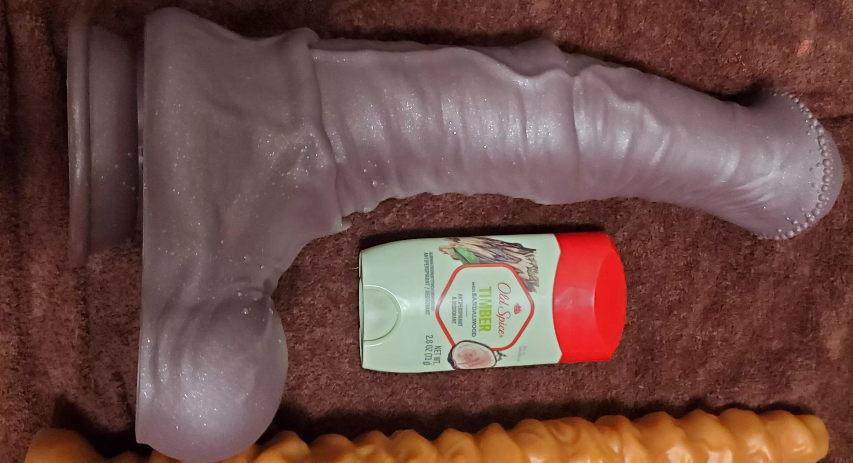 Arrived this evening