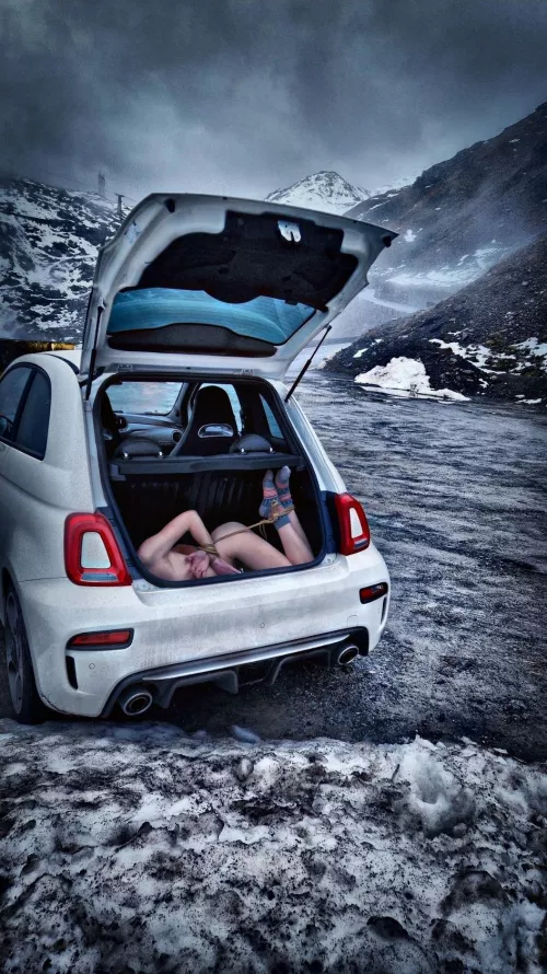 Chilly captive ❄️