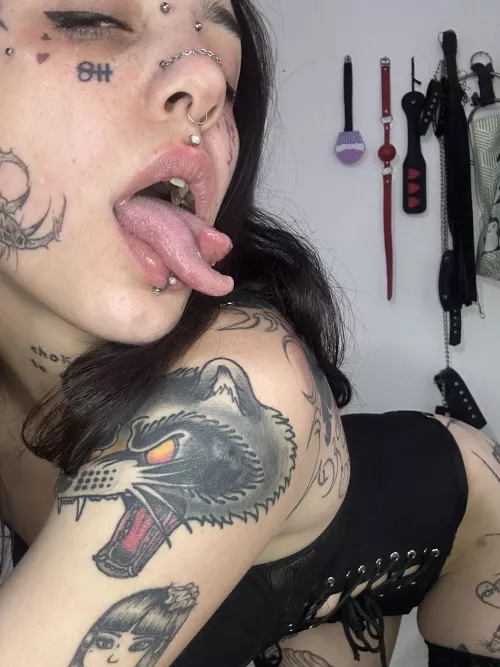 No doubt you'll be begging for more