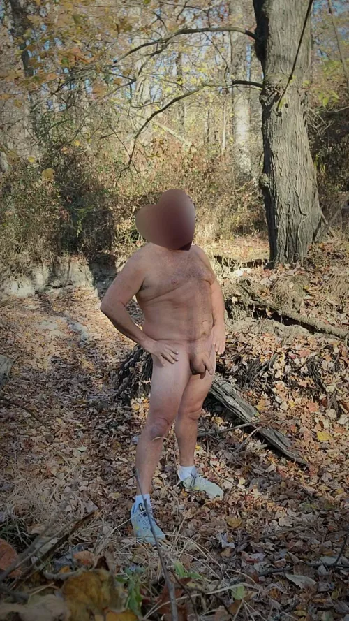 Out in the fall foliage.