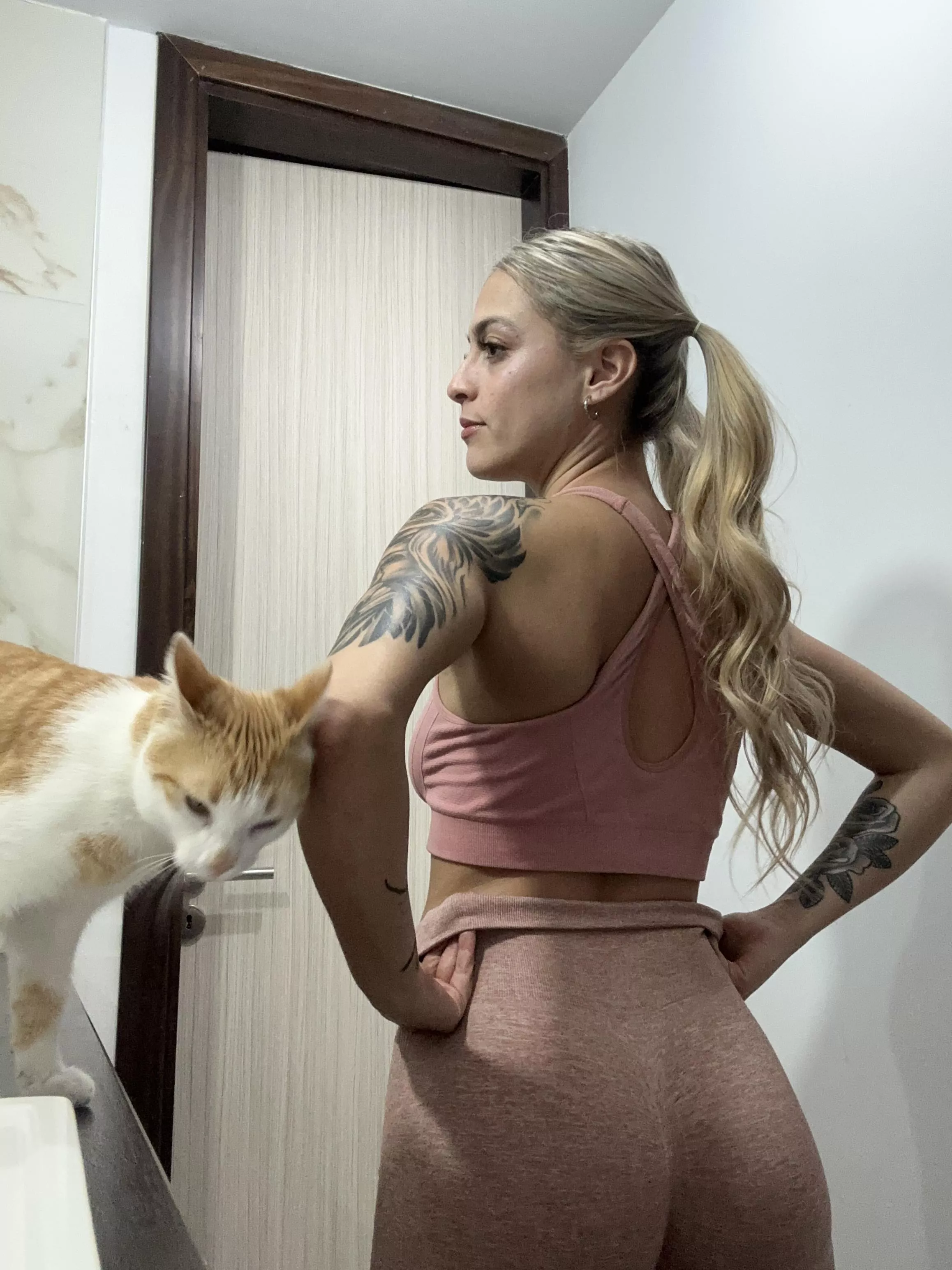 People think girls -who own cats- are crazy , agree?