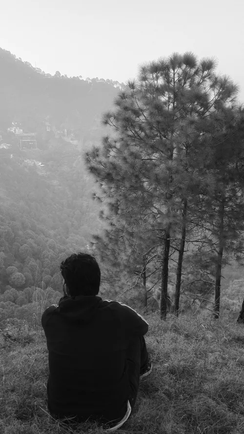 Pines and mountains tell me I’m ho(m)e