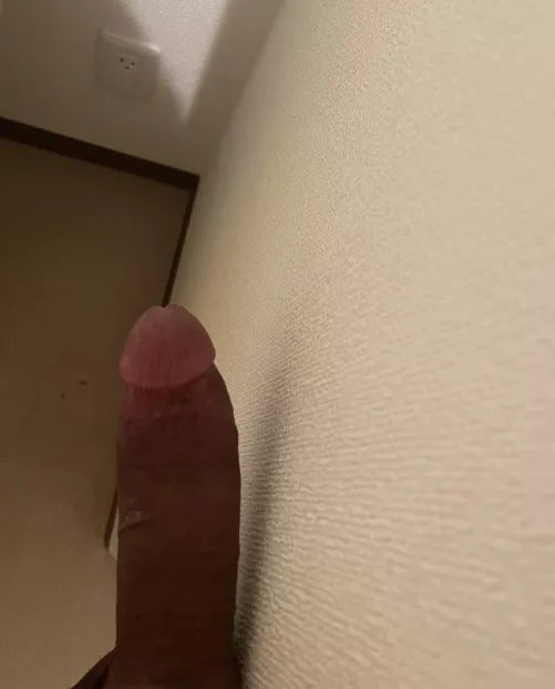 Posting to get my mind off the election lol