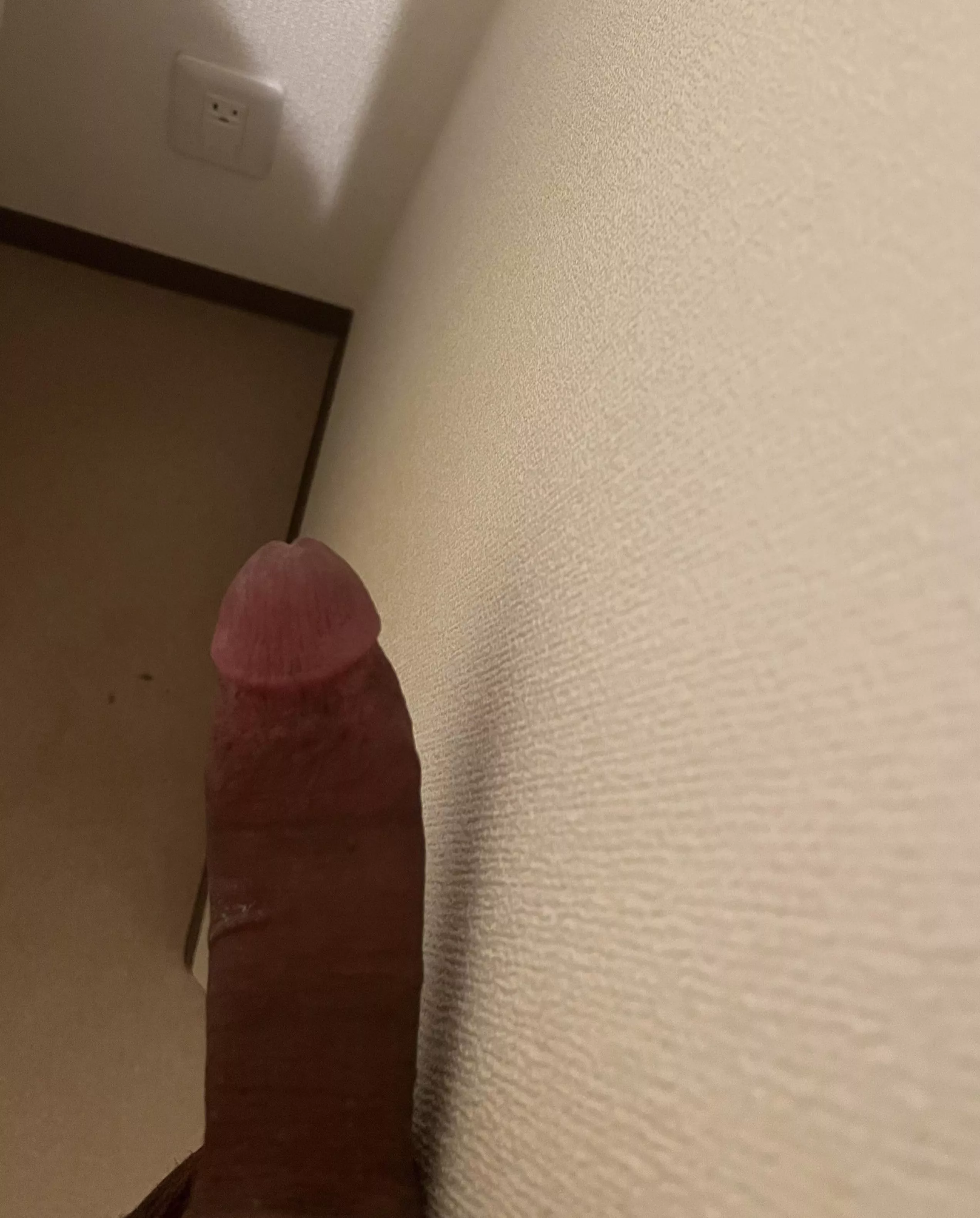 Posting to get my mind off the election lol