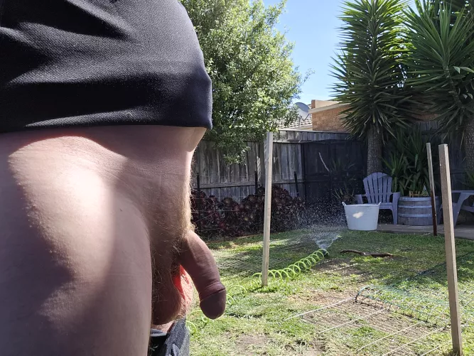 So(M)e gardening today