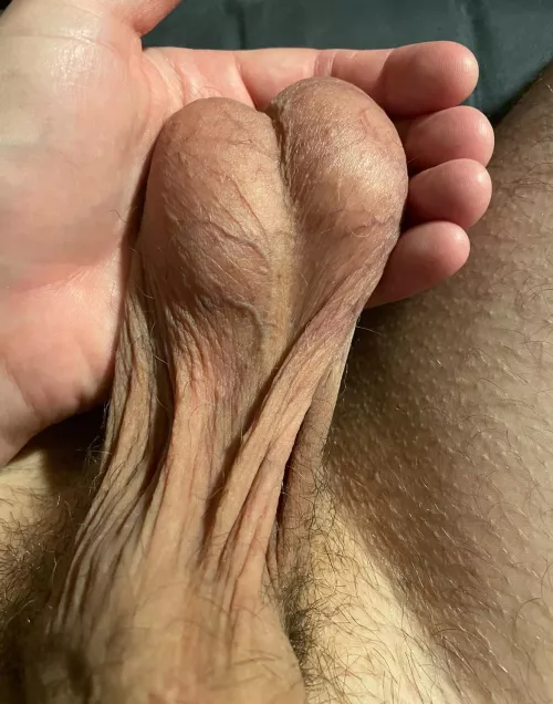 Who wants to hold them next?