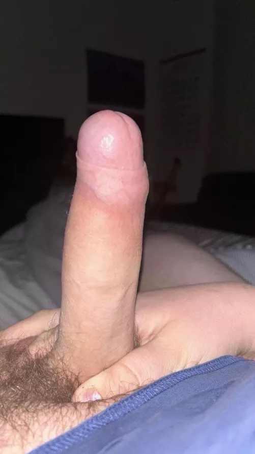 19 M4A - 6'7 with a dad bod and hung cock keen for some fun this week