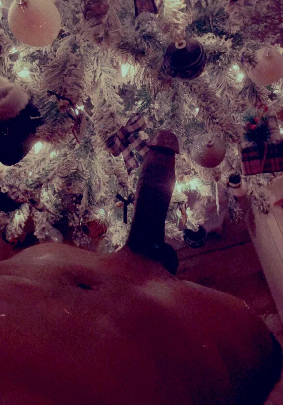 33 [M4MF] #kissimmee Bi M looking for a couple or single F for fun