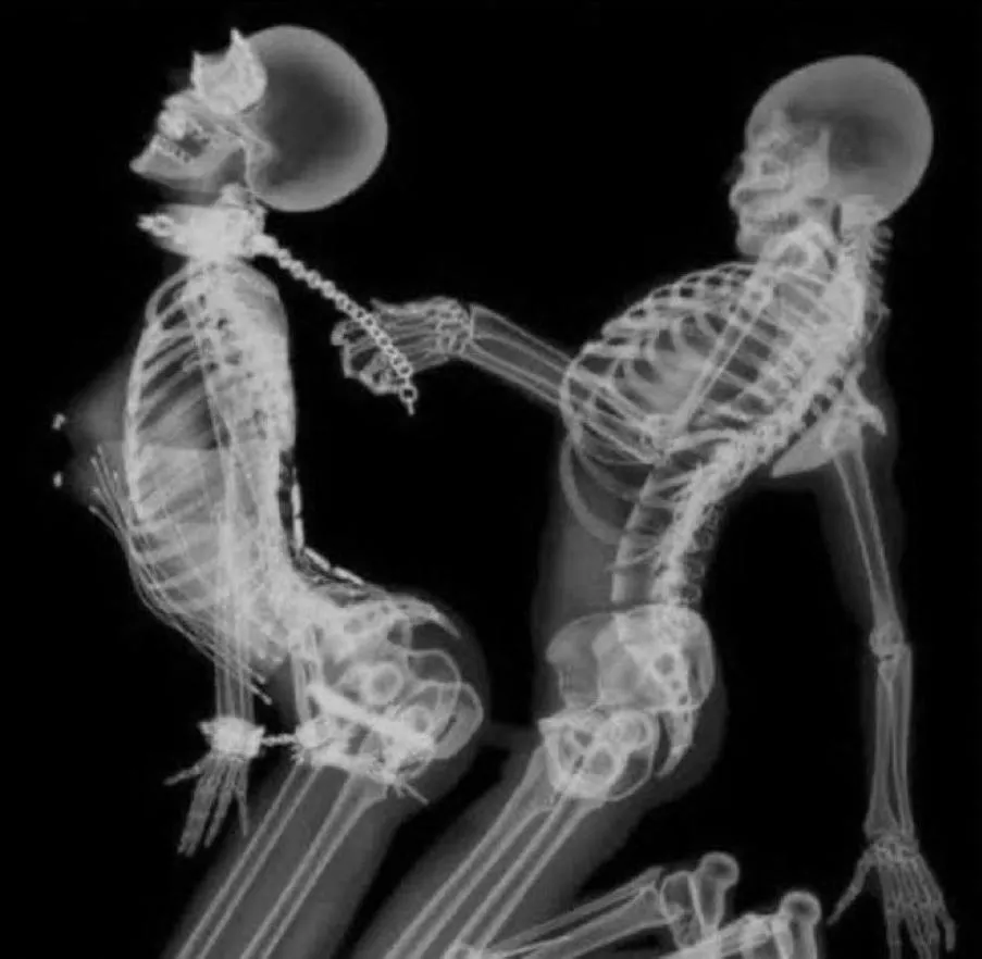 and... it's Hump day!