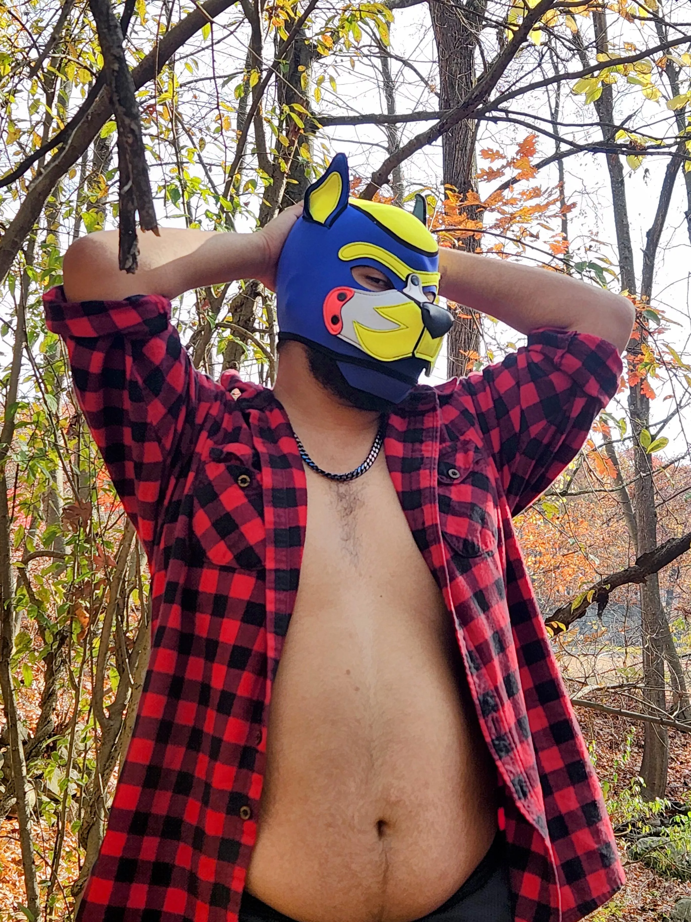 Another pic from the woods