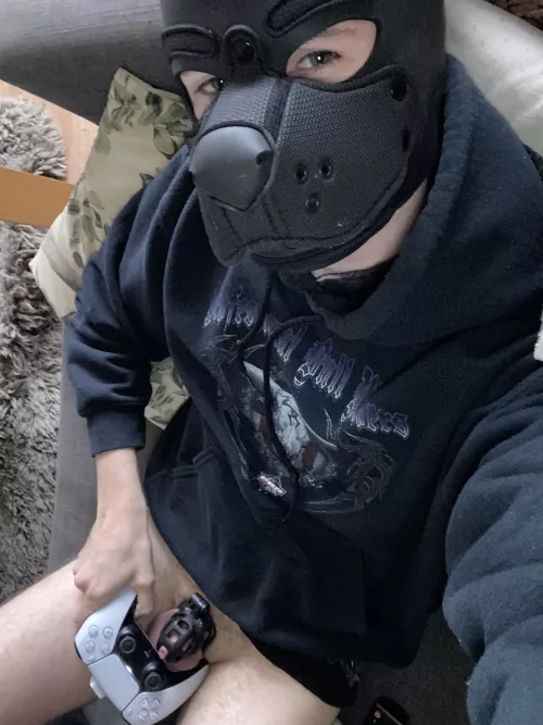 any other gamer pups on here? :3