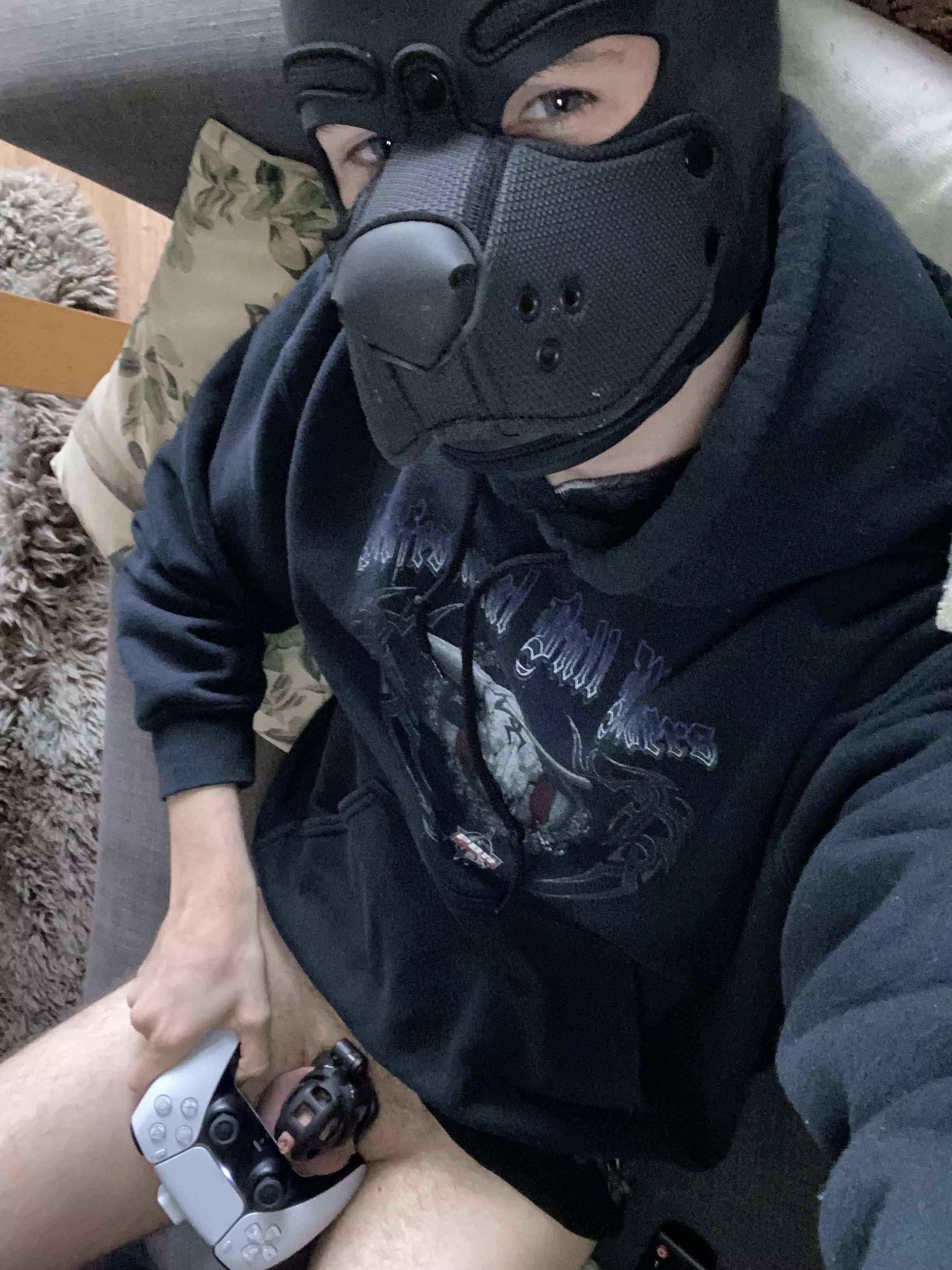 any other gamer pups on here? :3