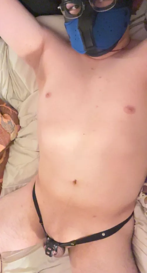 any pups going from locktober right into NNN?