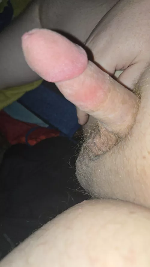 Anyone like gingers ? 