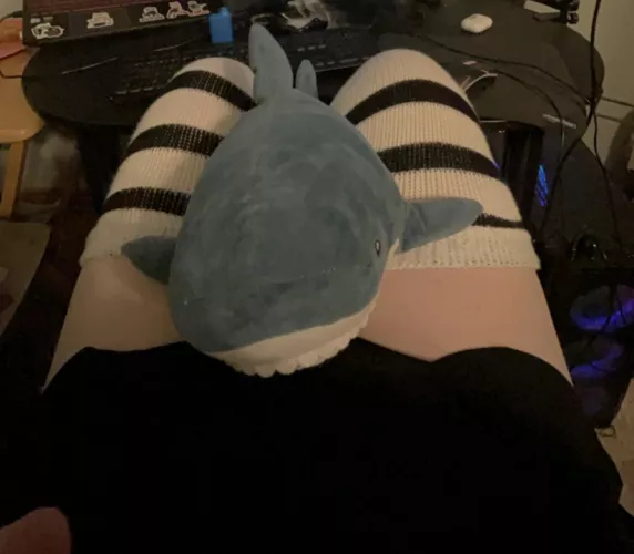 Anyone want a nice pair of soft femboy thighs?