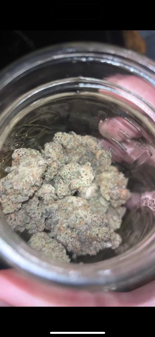 Denton , Frisco ,prosper,McKinney, dallas