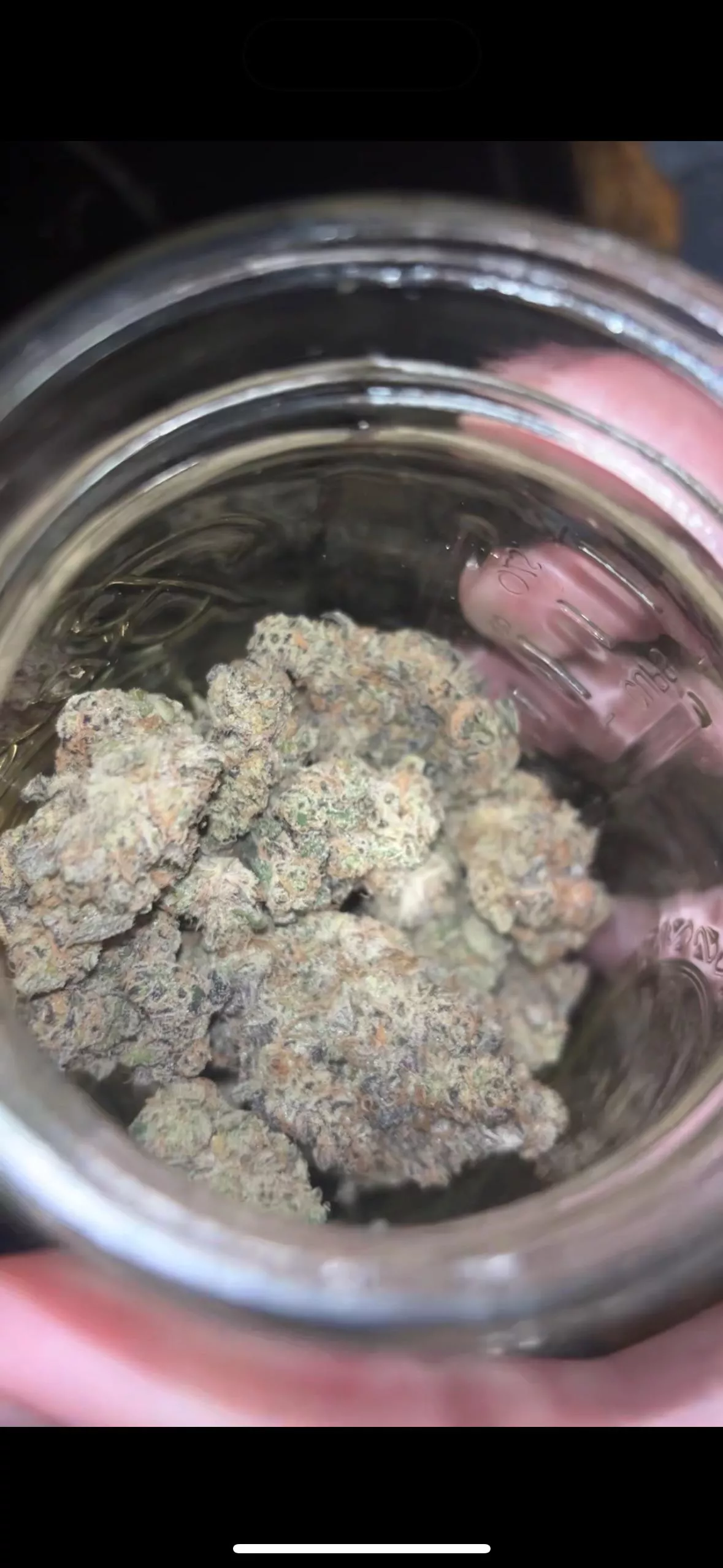 Denton , Frisco ,prosper,McKinney, dallas