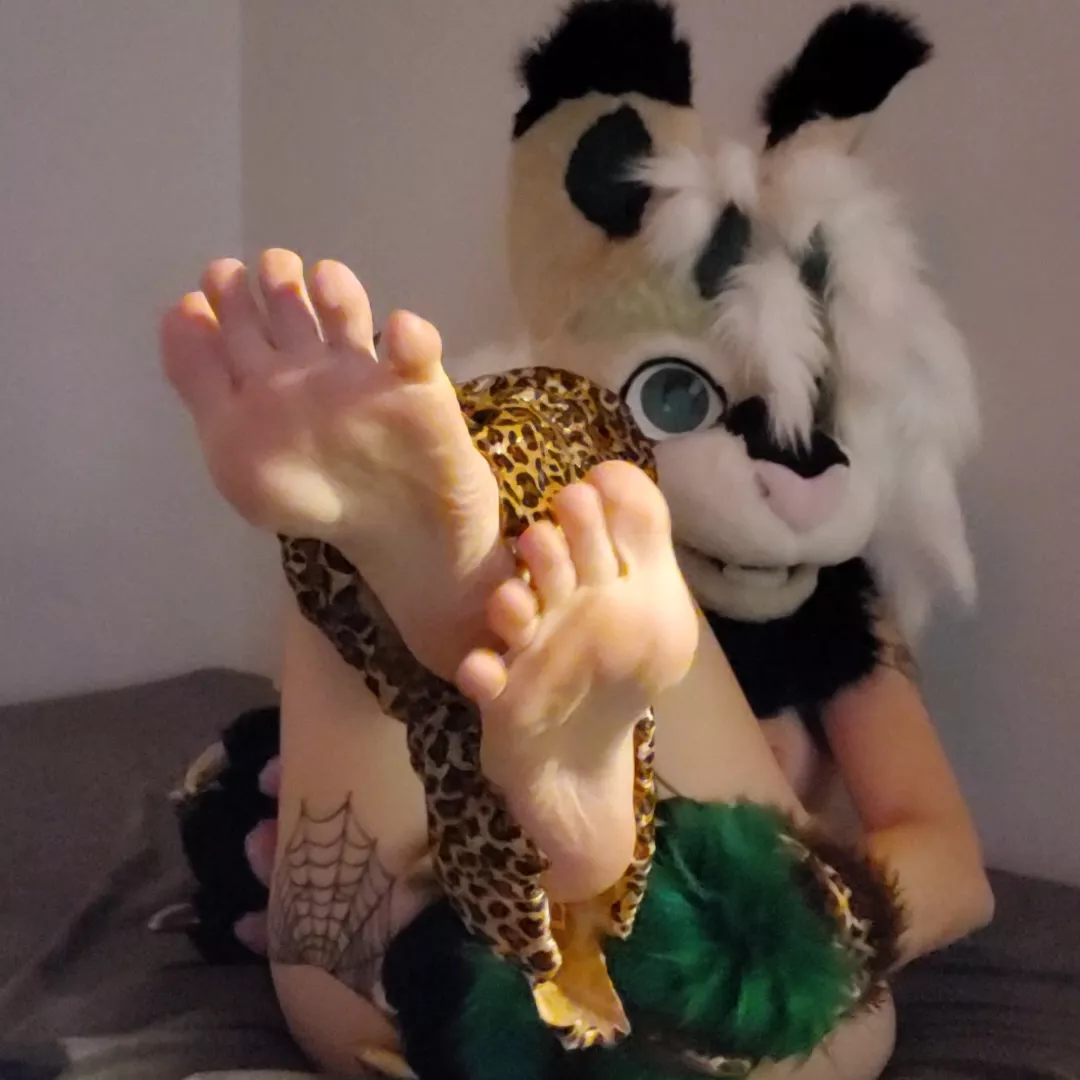 Do you like my soft kitty feet?